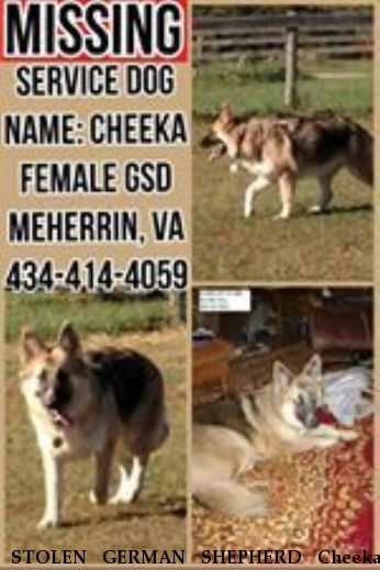 STOLEN GERMAN SHEPHERD Cheeka,  Near meherrin, VA, 23954